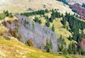 Autumn mountains and stark bare trees