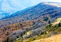 Autumn mountains and stark bare trees