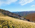 Autumn mountains and stark bare trees