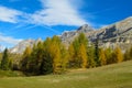 Autumn mountains yellow trees landscape in the Alps Royalty Free Stock Photo