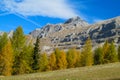 Autumn mountains yellow trees landscape in the Alps Royalty Free Stock Photo