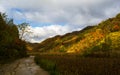 Autumn Mt. Changbai Royalty Free Stock Photo