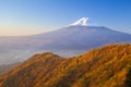 Autumn of Mt. Fuji