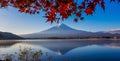 Autumn at Mt.Fuji