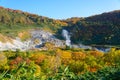 Autumn of Mt.Hachimantai