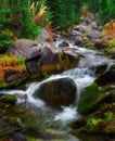 Autumn in Mt. Rainier National Park, Washington State Royalty Free Stock Photo