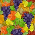 Autumn leaves pattern with grapes