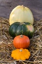 Autumn multicolored pumpkins stand in a row on straw. Autumn harvest.