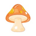 autumn mushroom illustration