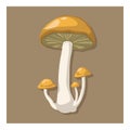 Autumn mushroom, isolated on brown background.