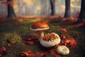 Autumn mushrooms in woods foliage Royalty Free Stock Photo