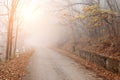 Autumn mystical road in foggy forest On Sunset Royalty Free Stock Photo