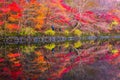 Autumn of Naejangsan National Park,South Korea. Royalty Free Stock Photo