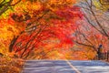 Autumn of Naejangsan National Park,South Korea Royalty Free Stock Photo