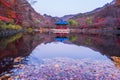 Autumn of Naejangsan National Park,South Korea Royalty Free Stock Photo