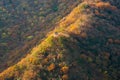 Autumn In Naejangsan South Korea Royalty Free Stock Photo