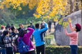 Autumn in Nanjing Mingxiao Mausoleum