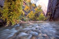 Autumn of the narrows and Virgin River in Zion National Park Zion, usa Royalty Free Stock Photo