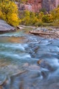 Autumn of the narrows and Virgin River in Zion National Park Zion, usa Royalty Free Stock Photo