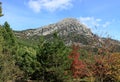 Autumn in National Park Pollino in Calabria Italy