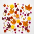 Autumn natural background from leaves, flowers and seeds Royalty Free Stock Photo