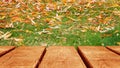 Autumn natural background. The surface of the wooden table on the background of autumn leaves. Soft focus.