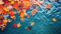 Autumn natural background, web banner. Top view of autumn bright yellow orange red fallen maple leaves in blue water. Autumn mood Royalty Free Stock Photo