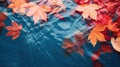 Autumn natural background, web banner. Top view of autumn bright yellow orange red fallen maple leaves in blue water. Autumn mood Royalty Free Stock Photo