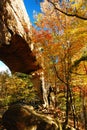 Autumn at Natural Bridge State Resort Royalty Free Stock Photo