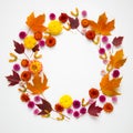 Autumn natural frame from leaves, flowers and seeds Royalty Free Stock Photo