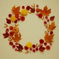 Autumn natural frame from leaves, flowers and seeds on yellow background Royalty Free Stock Photo