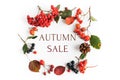 autumn natural wreath of berries, leaves, cones with the inscription Autumn sale on a white