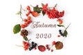 autumn natural wreath of berries, leaves, cones with the inscription Autumn 2020 on a white