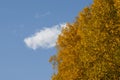 Autumn nature of Alaska. Forest Road, colored mountains and blue sky with clouds. Royalty Free Stock Photo