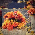 Autumn nature concept.Beautiful autumn decorations. Colorful autumn flowers at the cemetery - Halloween.