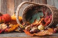 Autumn nature concept. Dogberry, leaves in a basket, pumpkins an fall seeds on a wooden table. Royalty Free Stock Photo