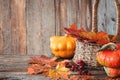 Autumn nature concept. Dogberry, leaves in a basket,pumpkins on a wooden table Royalty Free Stock Photo
