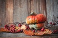 Autumn nature concept. Fall seeds, dogberry, leaves and pumpkin on a wooden table Royalty Free Stock Photo