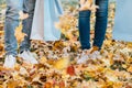 Autumn nature couple park yellow maple leaves Royalty Free Stock Photo