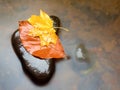 Autumn nature. Detail of rotten orange red maple leaf. Fall leaf lay on dark stone in blurred mirror Royalty Free Stock Photo