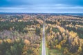 Autumn nature of fall aerial trees