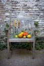 Autumn nature. Fall fruit on wood. Thanksgiving. autumn vegetables on an old chair in the garden Royalty Free Stock Photo