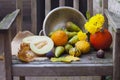 Autumn nature. Fall fruit on wood. Thanksgiving. autumn vegetables on an old chair in the garden, free space for text, yellow Royalty Free Stock Photo