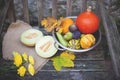 Autumn nature. Fall fruit on wood. Thanksgiving. autumn vegetables on an old chair in the garden, free space for text, yellow Royalty Free Stock Photo