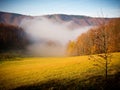 Autumn nature in fog