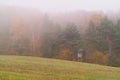 Autumn foggy day, fall colors in the forest. Lovely landscape