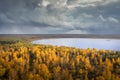 Autumn nature landscape aerial view. Scenic yellow trees on lake shore in october view from above. Fall scene