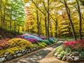 Autumn nature landscape of colorful forest