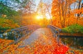 Autumn nature landscape. Lake bridge in fall forest. Path way in gold woods. Romantic view image scene. Magic misty suns