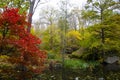 Autumn nature landscape with lake or river water and trees with colorful leaves, fall season Royalty Free Stock Photo